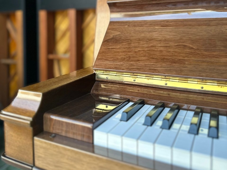 YAMAHA W202 Wn - Góc nhìn thực tế 6